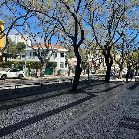 Sea And Sun 4 - Jardins Da Imperatriz *